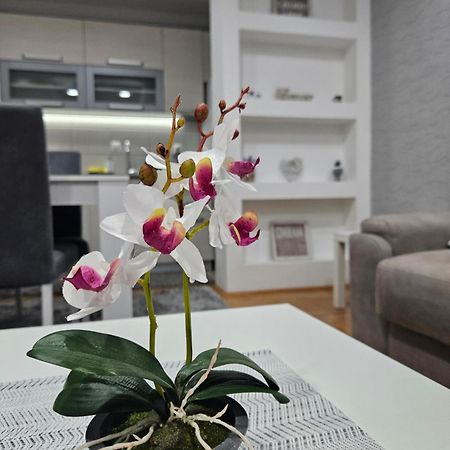Apartman Vukota Pirot Exterior foto